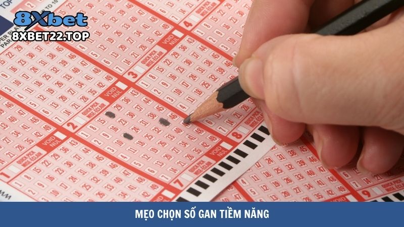 dau hieu lo gan sap ra 4 Mẹo chọn số gan tiềm năng