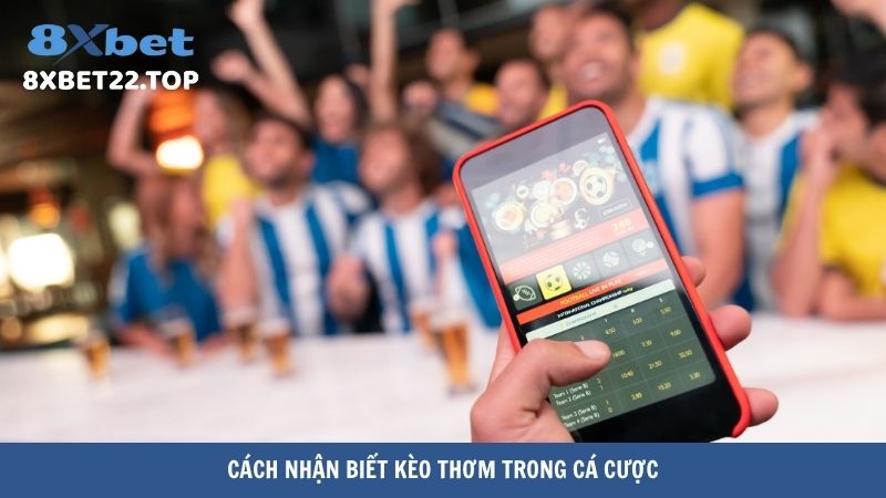 keo thom bong da 3 Cách nhận biết kèo thơm trong cá cược