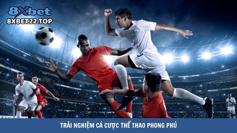 nha cai ca cuoc bong da 3 Trải nghiệm cá cược thể thao phong phú
