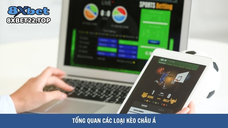 soi keo chau a 2 Tổng quan các loại kèo châu Á